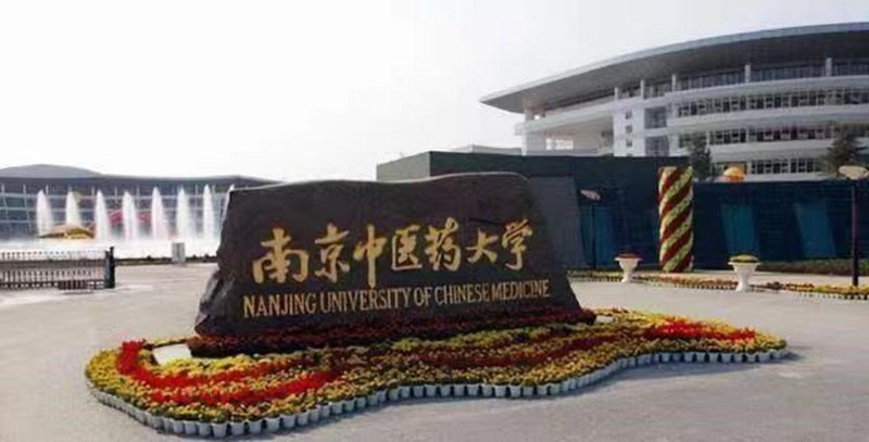 中医集团:传承与创新并行的医疗传奇